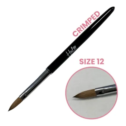 Halo Elite Crimped Size 12 Acrylic Brush